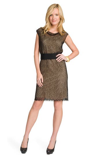 Boatneck Lace Dress
