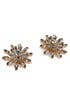 Flowerfull Earrings by Anton Heunis
