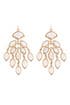 Gwen Lilly Earrings by Kendra Scott