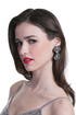 Silver Venatici Earrings by Nicole Romano