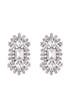 Flash of Crystal Earrings by Rodrigo Otazu