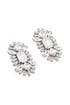 Flash of Crystal Earrings by Rodrigo Otazu