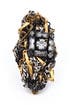 Continuum Ring by Erickson Beamon