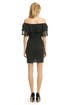 Black Lace Whispers Dress by Alice by Temperley