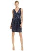 Midnight Glamour Dress