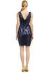 Midnight Glamour Dress