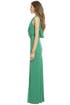 Ibera Wetlands Gown by BCBGMAXAZRIA