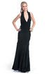 Oscar Please Gown by Catherine Malandrino