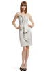 Silvery Sass Dress by David Meister