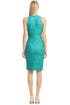 Vision in Lace Dress by David Meister