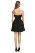 Dark Roses Dress 