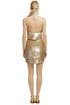 Sweet Almond Martini Dress by Haute Hippie