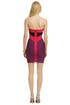 Line Them Up Dress by Hervé Léger