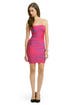 Pink Palm Dress by Hervé Léger