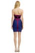 Whiplash of Color Dress by Hervé Léger