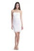 Bowen Lace Dress by Lilly Pulitzer