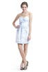 Icebreaker Dress by Mark & James by Badgley Mischka