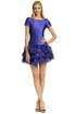 Amplify The Noise Dress by Moschino