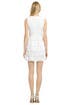 Lovers Leap Dress by Nanette Lepore