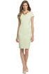 Lime Sorbet Sheath by Narciso Rodriguez