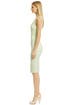 Pistachio V Sheath by Narciso Rodriguez