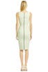 Pistachio V Sheath by Narciso Rodriguez
