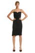 Struck by Love Sheath by Nina Ricci