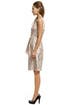 Charleston Dress by Rachel Roy