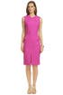 Stellar Pink Sheath by Rachel Roy