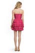 Raspberry Layer Cake Dress by Rebecca Taylor