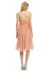 Making Me Blush Dress by See by Chloe