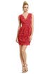 Primary Lace Dress by Shoshanna