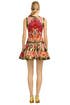 Pumped Up Paisley Dress by Thakoon