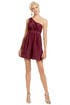 Burgundy Fairy Tale Dress by Thread Social