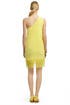 Sheer Genius Dress by Tibi