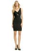 Contagious Beauty Sheath by Z Spoke Zac Posen