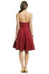 Grand Scheme Dress by Z Spoke Zac Posen