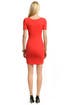 Holler Back Sheath by Z Spoke Zac Posen