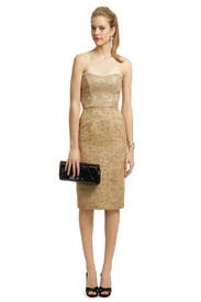 Countryside Corset Dress 