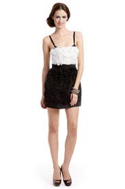 Cookies n' Cream Dress 