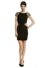 Madison Ave Dress 