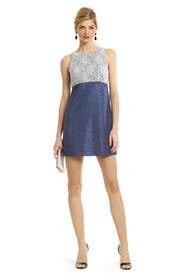 Playful Lace Sheath 
