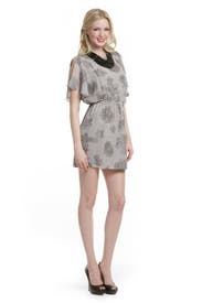 Grey Starfish Dress 