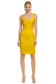 Yellow Rose Bodice Dress 