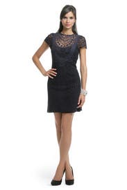 Navy Lace Crew Dress