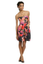 Retro Butterfly Dress