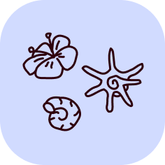 Vacation